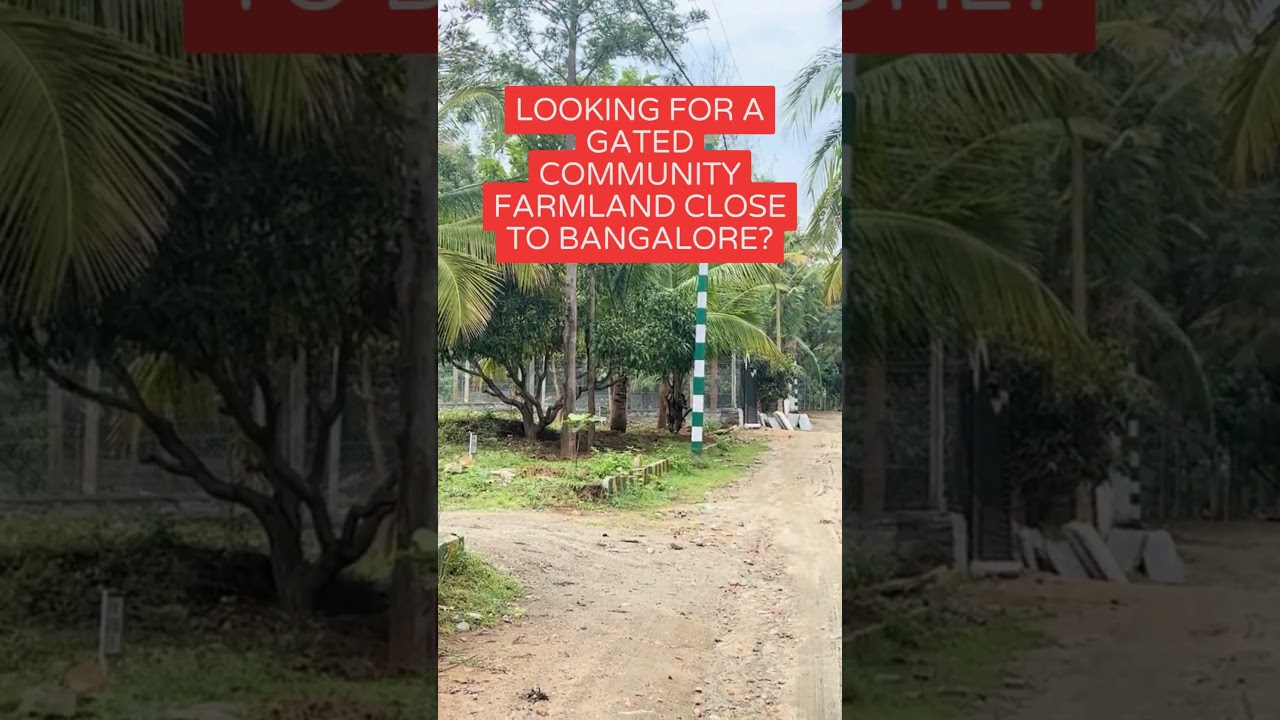 farm plots for sale hosur - cheapest farm land for sale close to hosur and denkanikottai