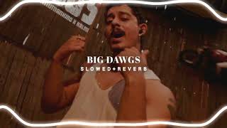 Big Dawgs - Slowed Reverb Hanumankind