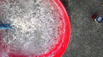 Flock agent in action