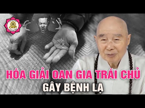 Làm thế nào hóa giải Oan gia trái chủ gây các bệnh lạ? HT Tịnh Không | A Di Đà Phật