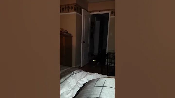 Calling Callie