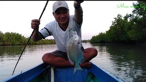 cắm câu kiểu truyền thống dính cá như vậy mới sướng/cá hanh & cá ngát