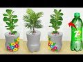 Plastic bottle Flower Pot // Cement Tree Pot making at home