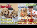 Dương KC | Gâu Đần family | chó thông minh đáng yêu | cute smart dog pet | Thú Cưng TV