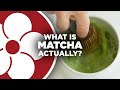 What is matcha
