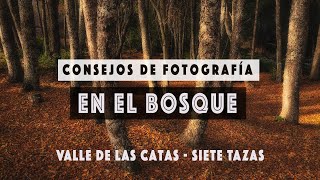 Consejos de Fotografía en el Bosque -  Valle de Las Catas - Siete Tazas