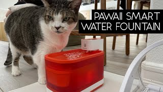 PAWAII WATERDROP PET FOUNTAIN | SVEN AND ROBBIE by Sven and Robbie 1,524 views 10 months ago 3 minutes, 28 seconds