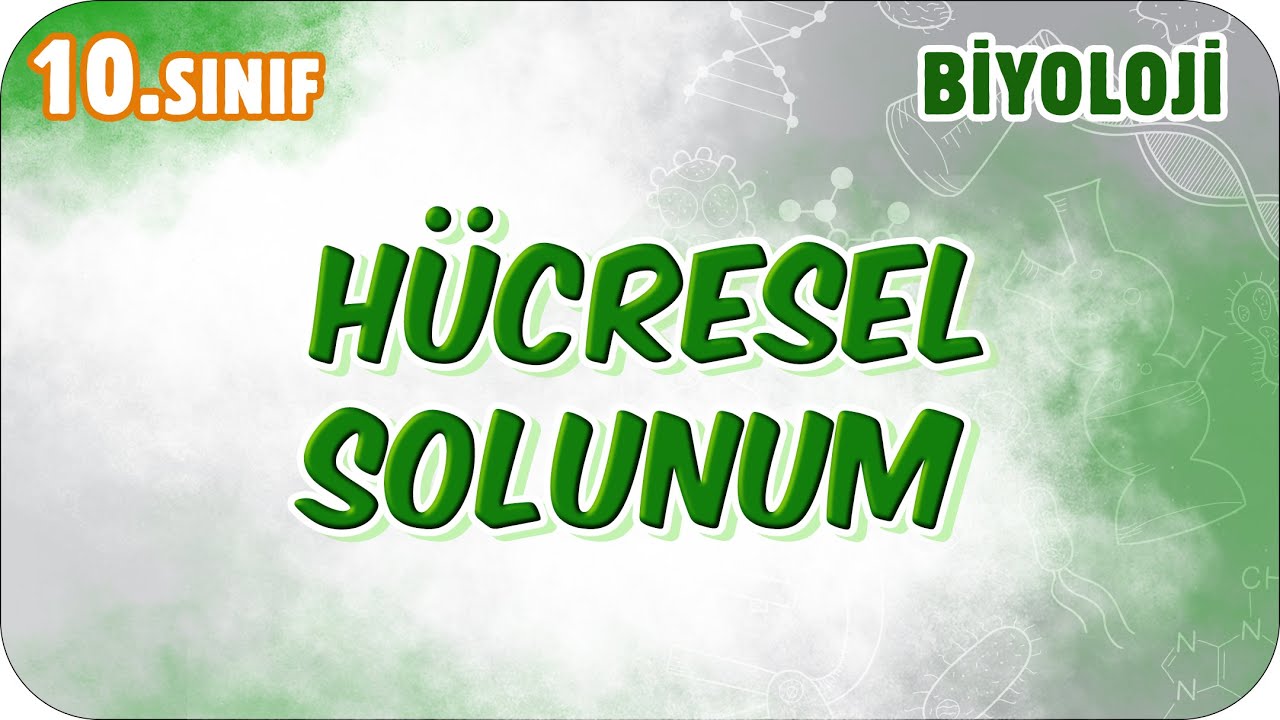 Hücresel Solunum | 10. Sınıf Biyoloji #2026