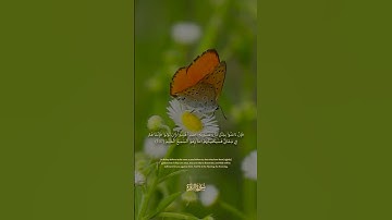 137 سورة البقرة: التلاوة المعبرة مع الترجمة الإنجليزية