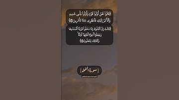 سورة النمل الآية ٣٣ الى ٣٥ بصوت الشيخ محمد صديق المنشاوي