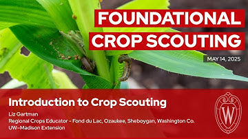 Introduction to Crop Scouting