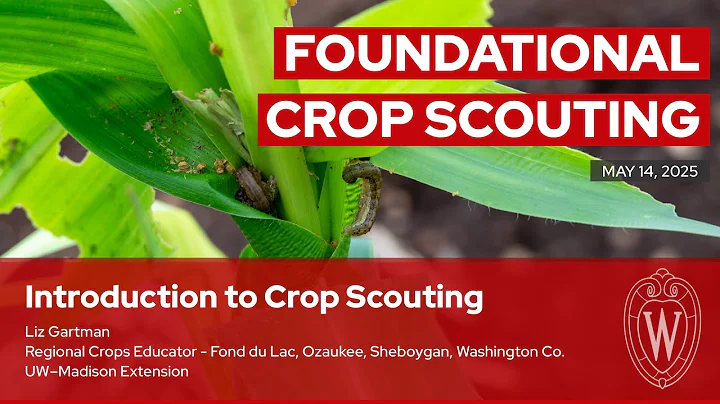 Introduction to Crop Scouting