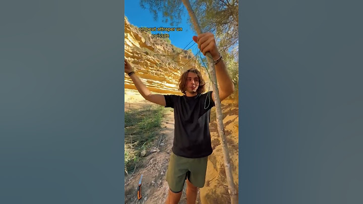 Comment faire une canne à pêche de survie ?! 🎣