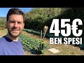 Carretto PORTA ATTREZZI per GIARDINO e ORTO