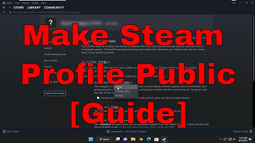 How to Make Your Steam Profile Public [Guide]