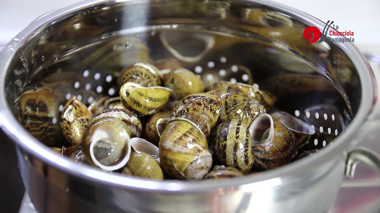 Come preparare le lumache - La Chiocciola Romagnola