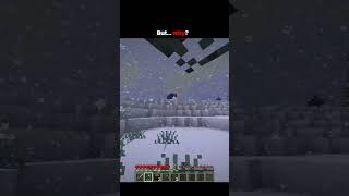 But why? #minecraft #memes