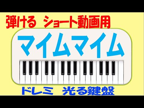 マイムマイム ショート練習用 ドレミ鍵盤つき