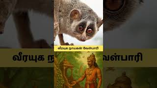 வீரயுக நாயகன் வேள்பாரி #bookreview #facts