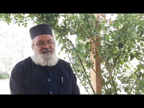 ✝️კითხვა #19   როგორ ავარიდო თავი პრობლემებს