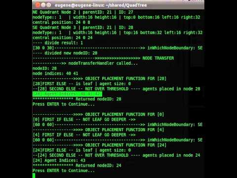 Quadtree C++ Implementation Process