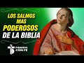 LOS SALMOS MAS PODEROSOS DE LA BIBLIA 📖 - Pidamos Con Fé ⛪