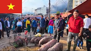 Explore Vietnam&#39;s Highland Market: Authentic Ethnic Culture and Street Food in Ha Giang