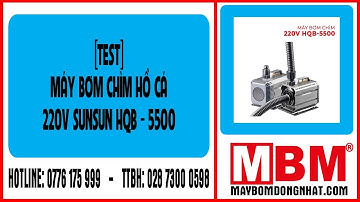 [TEST] Máy bơm chìm hồ cá 220V SUNSUN HQB-5500 - MAYBOMDONGNHAT.COM