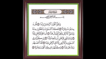 سورة مريم من الآية 88 إلى الآية 95 بصوت القارىء الشيخ ياسر الدوسرى