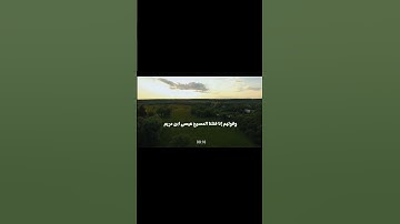 سورة النساء اية 156