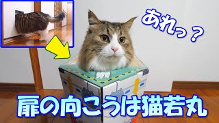 部屋に入ろうとしたらいつの間にか猫若丸の船内にいたボス吉