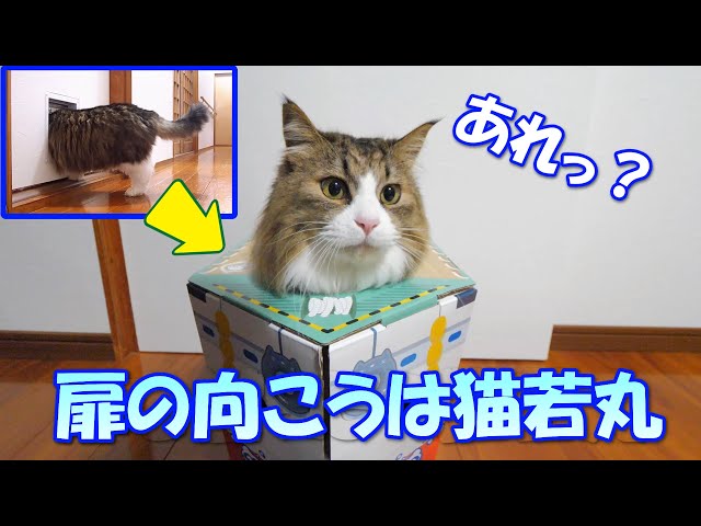 部屋に入ろうとしたらいつの間にか猫若丸の船内にいたボス吉