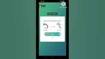 shadow onix evolve shadow steelix in pokemon go OPAMAN99