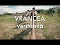 Exclusiv n romnia vrancea veritabil tvr1