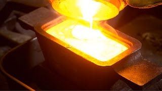 Gold 101 With Freddy Dodge