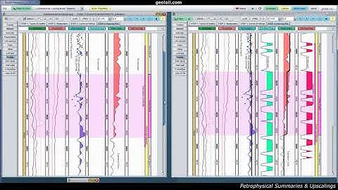 Petrophysical Summaries and Upscalings