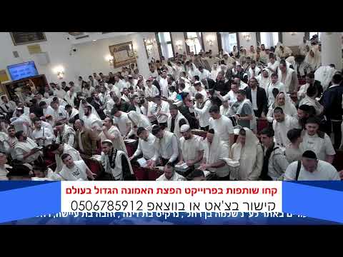 הרב אייל עמרמי - תפילת ראש חודש אדר תשפ"ו