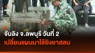 ภารกิจจับลิง จ.ลพบุรี วันที่ 2 จับได้ 16 ตัว จากเป้า "3 วัน 50 ตัว" | Thai PBS News