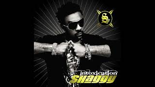 Mad Mad World (feat. Sizzla Kalonji & Collie Buddz)