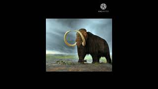 Hewan Yang Sudah Punah