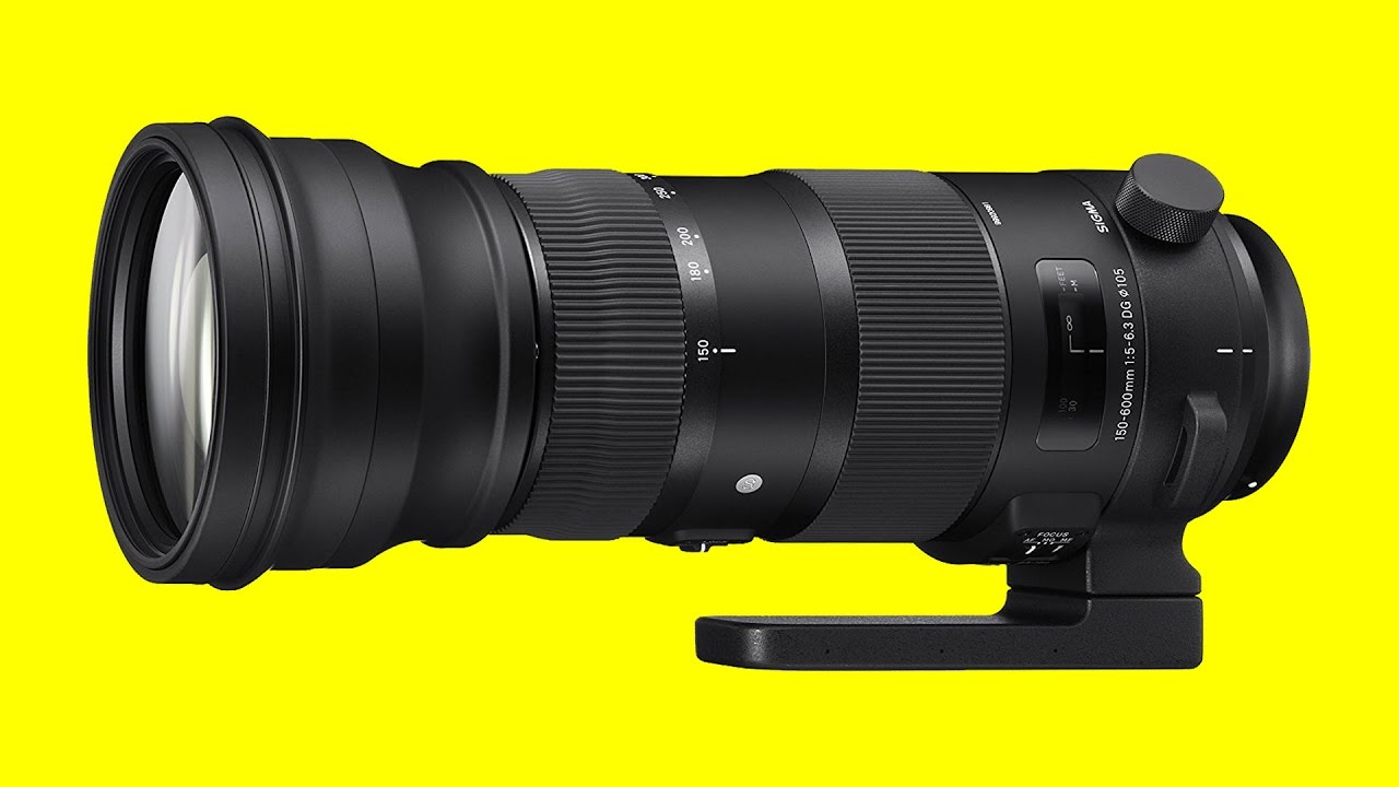 Nikon 200 500mm Vs Sigma 150 600mm Which One Should I Buy Youtube