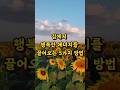 집에 행복 에너지를 끌어오는 5가지 방법#풍수지리#인테리어 #명언 #좋은글 #지혜 #인생조언