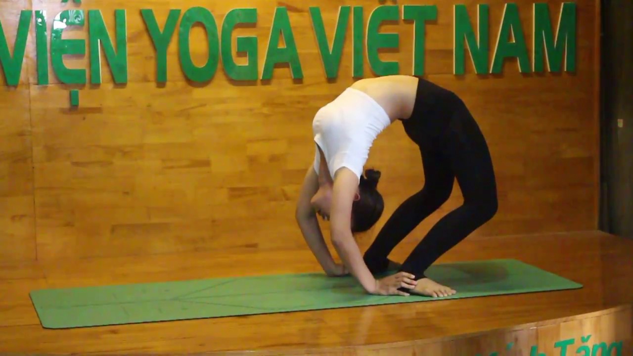 Học viện yoga việt nam | Các động tác Yoga nâng cao – Học viện Yoga Việt Nam