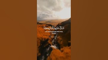 تلاوة عطرة و جميلة •|قران كريم بصوت شجي #quran #قرآن #الله #سبحان_الله #راحة_نفسية #قرآن_في_دقيقة