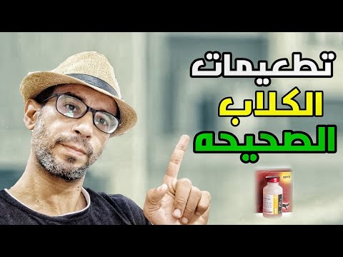 مواعيد تطعيمات الكلاب بعد الشراء معلومات شاملة