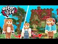3 NEW origins, EVERYTHING WENT WRONG : Afterlife SMP Minecraft Survival (#14)
