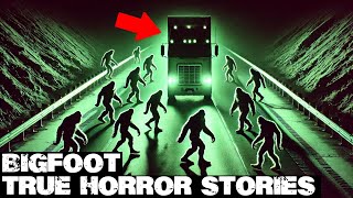 3 Hours of Truly Scary Bigfoot Encounters | BIGFOOT Documentary 2025 | Vol. 344 | #bigfoot 2025