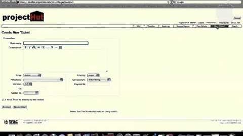 Trac Project Management - Bug Entry