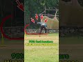 Fast bowlers biggest mistake 🚫non bowling arm #fastbowling#fastbowler