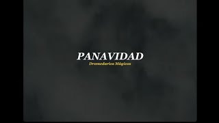 Dromedarios Mágicos - Panavidad (Video Oficial)